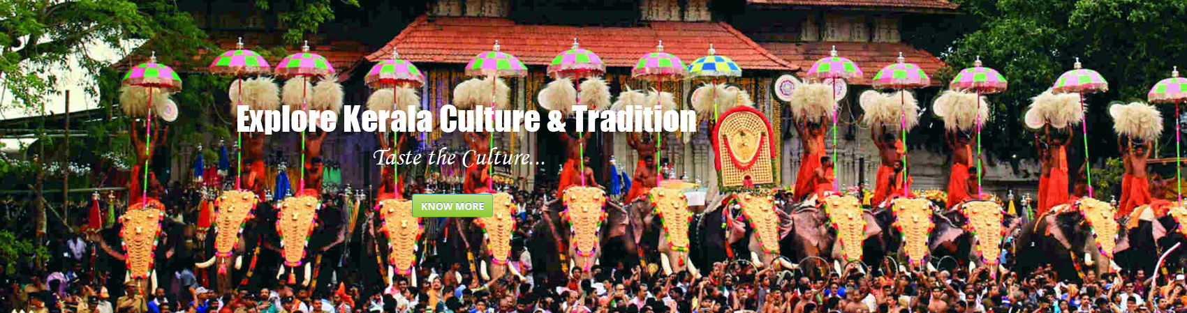 Explore Kerala Culture & Tradition