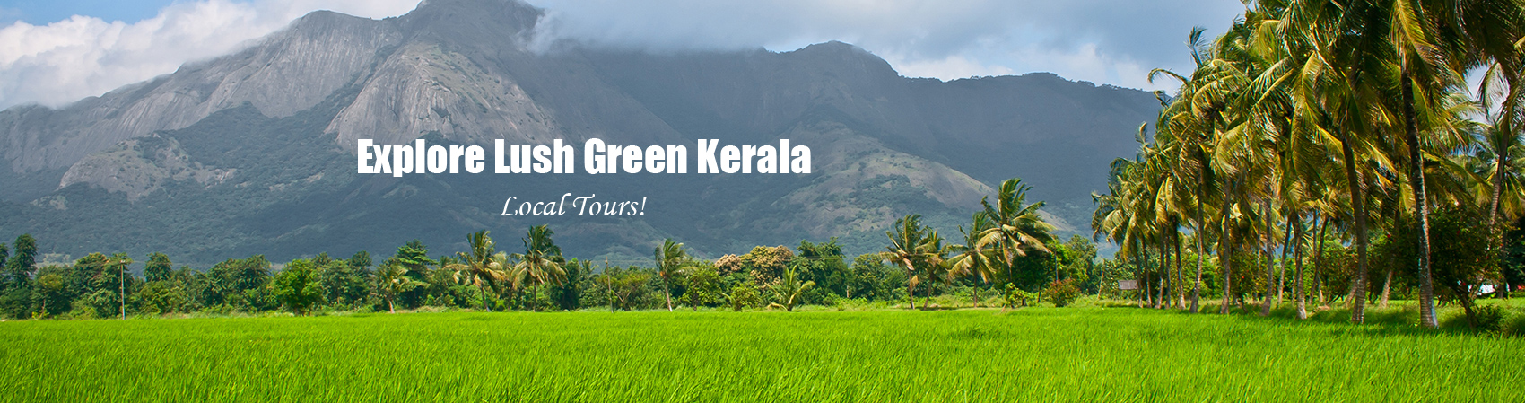 Explore Lush Green Kerala